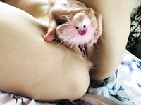Onlyfans Leaked Photos - Xminakali - Photos