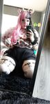 Onlyfans Leaked Photos - Yourwitchygirl - Photos