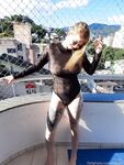 Onlyfans Leaked Photos - Zepam - Photos
