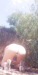 Onlyfans Leaked Photos - Corruptviolet - Photos
