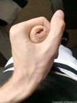 Onlyfans Leaked Photos - Masteruk - Photos