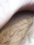 Onlyfans Leaked Photos - Mistressjxx - Photos