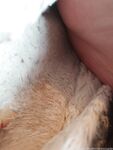 Onlyfans Leaked Photos - Mistressjxx - Photos