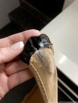 Onlyfans Leaked Photos - Novaaajewels - Photos