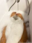 Onlyfans Leaked Photos - Purevibrations - Photos