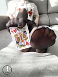 Onlyfans Leaked Photos - Snowonshoes - Photos