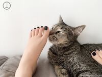 Onlyfans Leaked Photos - Snowonshoes - Photos