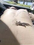 Onlyfans Leaked Photos - Strangelilbabex - Photos