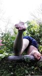 Onlyfans Leaked Photos - Tasteoft00Pale - Photos