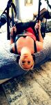 Onlyfans Leaked Photos - Tinker-Bell6964 - Photos