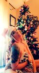 Onlyfans Leaked Photos - Tinker-Bell6964 - Photos