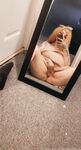 Onlyfans Leaked Photos - Welshbarbiedolly - Photos