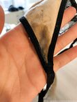 Onlyfans Leaked Photos - Worshipnova - Photos