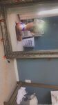 Onlyfans Leaked Photos - A-Uncensored - Photos