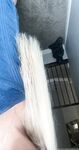 Onlyfans Leaked Photos - Alissaryan - Photos