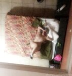 Onlyfans Leaked Photos - Amaibrielle - Photos