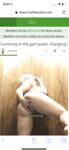 Onlyfans Leaked Photos - Amberjadevip - Photos