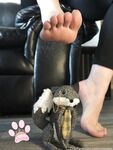 Onlyfans Leaked Photos - Aphroditepaws - Photos