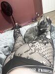 Onlyfans Leaked Photos - Ashleynnn123 - Photos