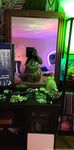 Onlyfans Leaked Photos - Bustycrocker - Photos