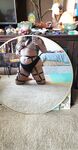 Onlyfans Leaked Photos - Bustycrocker - Photos
