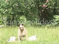 Onlyfans Leaked Photos - Faecatgoddess - Photos