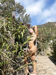 Onlyfans Leaked Photos - Gucciblue - Photos