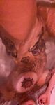 Onlyfans Leaked Photos - Littleredrosie - Photos