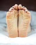 Onlyfans Leaked Photos - Mrfootographer - Photos