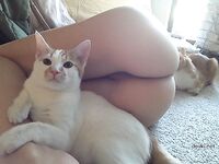 Amateur - Devki Uno 2834 Foto Golyh Odnoklassnic - Foto Devki 2834 Uno Golyh Odnoklassnic Erotic
