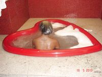 Amateur - Devki Uno 10470 Mulatka Soset Dlinnyy Chlen - Devki Soset 10470 Chlen Mulatka Uno Dlinnyy Erotic