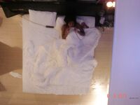 Amateur - Devki Uno 10470 Mulatka Soset Dlinnyy Chlen - Devki Soset 10470 Chlen Mulatka Uno Dlinnyy Erotic