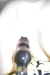 Amateur - Devki Uno 11420 Chastnoe Foto Razvratnicy - Foto 11420 Devki Uno Razvratnicy Chastnoe Erotic