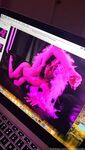 Onlyfans Leaked Photos - Realpollypocket - Photos