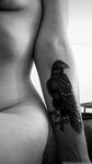 Onlyfans Leaked Photos - Rozehips - Photos