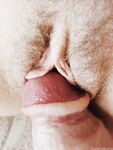 Onlyfans Leaked Photos - Sashashoki - Photos