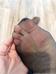 Onlyfans Leaked Photos - Sweetfeetfans - Photos
