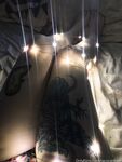 Onlyfans Leaked Photos - Tacocatdude - Photos