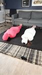 Onlyfans Leaked Photos - Terramizu - Photos