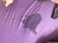 Onlyfans Leaked Photos - Theediosaluna - Photos