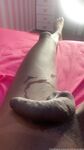 Onlyfans Leaked Photos - Victoriacarolino - Photos