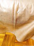 Onlyfans Leaked Photos - Anaimiya - Photos