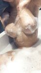 Onlyfans Leaked Photos - Kayla-Sweet - Photos