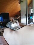 Onlyfans Leaked Photos - Loreena - Photos
