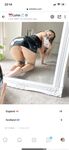 Onlyfans Leaked Photos - Lunalottonn - Photos