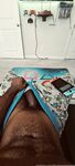 Onlyfans Leaked Photos - Officialgreysweatsking - Photos