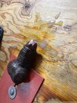 Onlyfans Leaked Photos - Only1Exploremysoles - Photos
