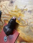 Onlyfans Leaked Photos - Only1Exploremysoles - Photos