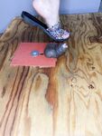 Onlyfans Leaked Photos - Only1Exploremysoles - Photos