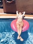 Onlyfans Leaked Photos - Serenitymodel - Photos